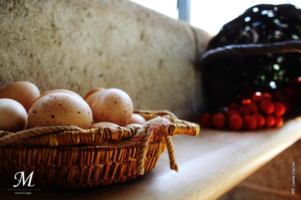 Masseria La Foggia 法萨诺 外观 照片