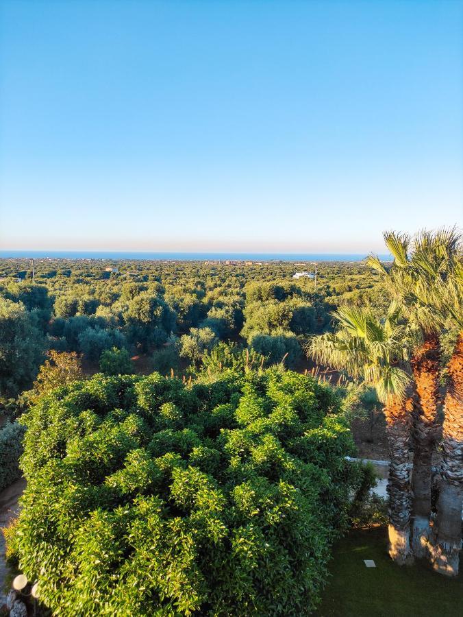 Masseria La Foggia 法萨诺 外观 照片